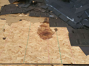 Roof Leak Repair – Columbia, MO | Ace Roof Systems